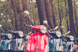 Vespa Waasland