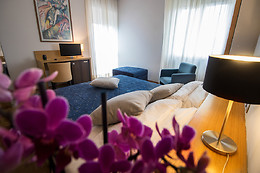 Hotel Clarici