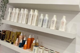 Le Boudoir de Clochette