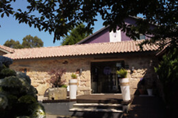 VINOHOTEL 7 UVAS