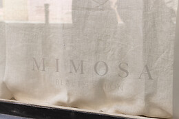 MIMOSA BEAUTY SALON CENTRO