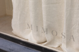 MIMOSA BEAUTY SALON CENTRO