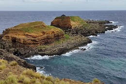 Azores Nature Tours