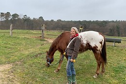 Equicoaching