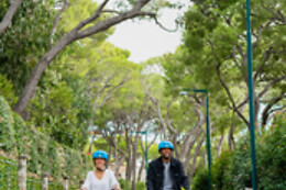 GYROCOM 06 (Mobilboard Nice)