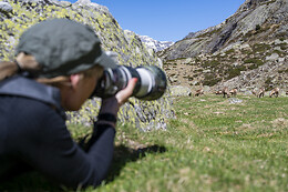 Hadrien Brasseur