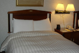 BARTHOLOMEU GUESTHOUSE