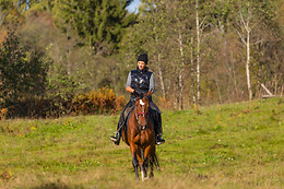 Le Haras des Ouches