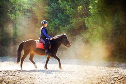 Le Haras des Ouches