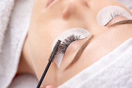 MASTER LASH STUDIO