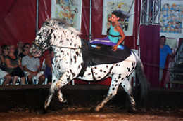 Esprit de Cirque