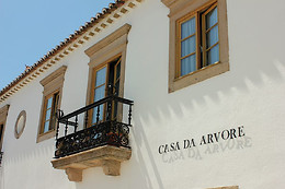 CASA DA ÁRVORE