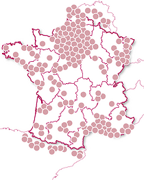 Tables romantiques avec vin, champagne ou apéritif