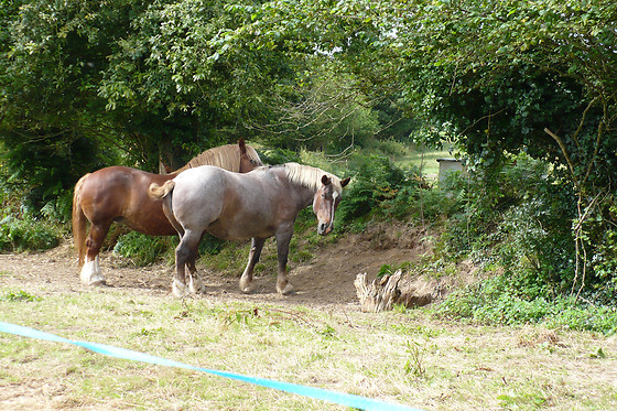 Ferme auberge de la ville Suzanne - photo 2