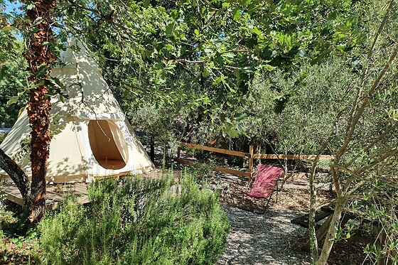 Les Roulottes et Cabanes de Saint-Cerice - photo 32
