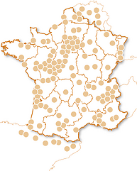Vol en montgolfière et activités dans les airs