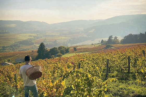Domaine des Jeunes Pousses - photo 0