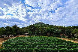 Domaine de La Navicelle