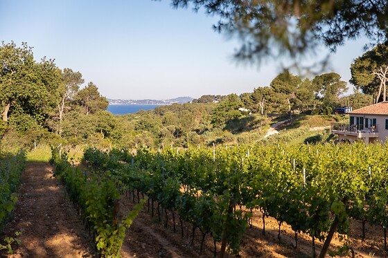 Domaine de La Navicelle - photo 8