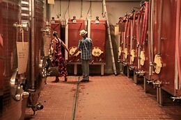 Domaine de La Navicelle