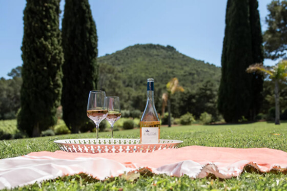 Domaine de La Navicelle - photo 4