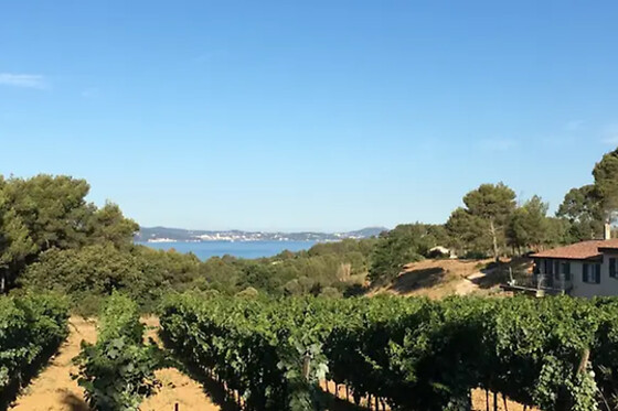 Domaine de La Navicelle - photo 15