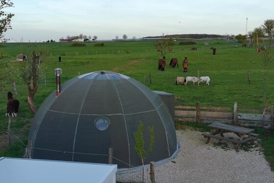 Ferme et Ecurie du Vermois - photo 18