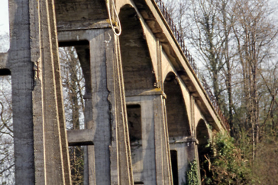 Elastique-Record - photo 4