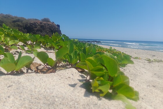 Tiôm Réflexologie - photo 2