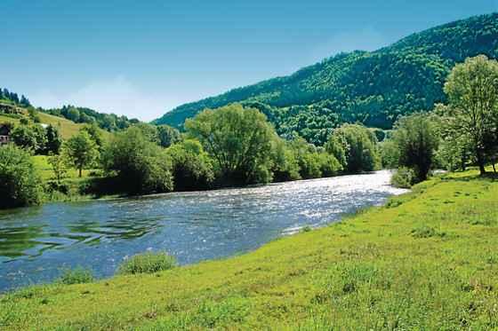 Relais du Haget - photo 7