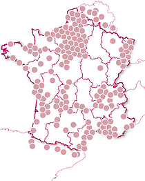 Gastronomie des grands Chefs