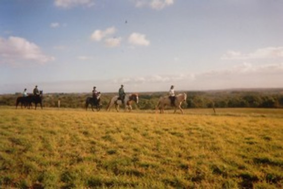 Relais du Haget - photo 17
